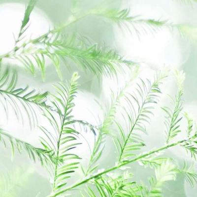 玩具塔防4星海战争破解版下载